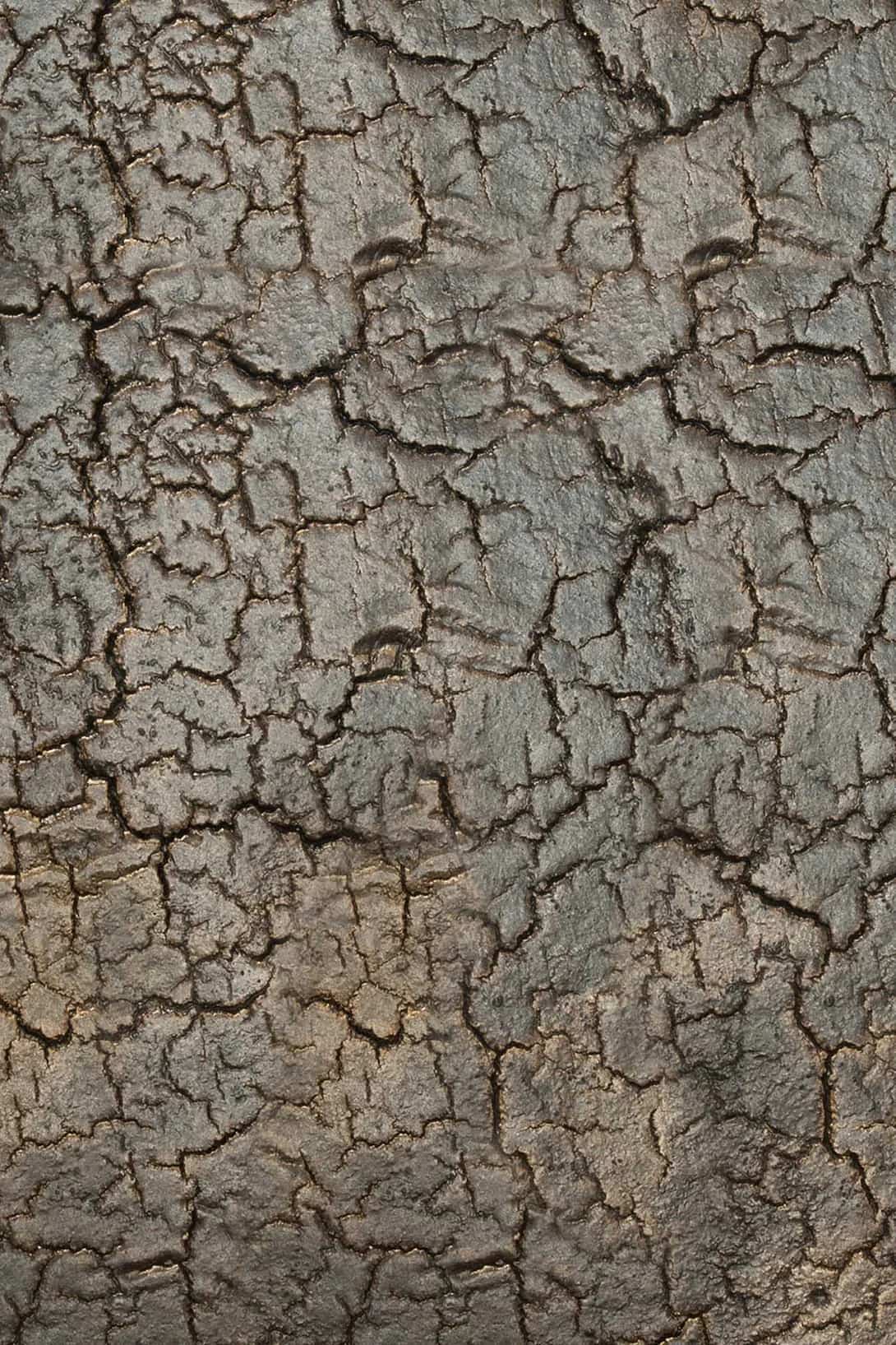 Side Table - Black (Code ANPW)