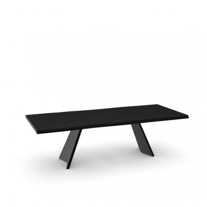 Dining Table - Size 250 x 105